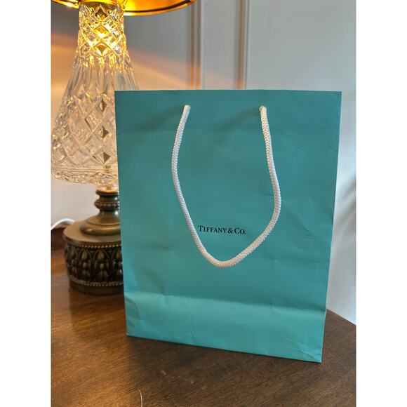 Tiffany & Co gift bag teal white rope handle jewelry crystal .925 Return to - Picture 1 of 8